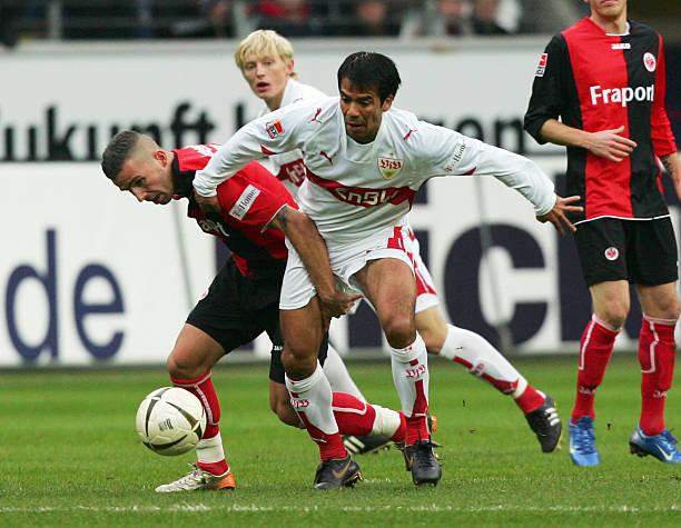 他们不仅需 他们不仅需